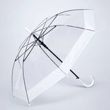 White Big Border Transparent Umbrella for Teens & Adults