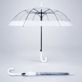 White Big Border Transparent Umbrella for Teens & Adults