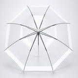 White Big Border Transparent Umbrella for Teens & Adults