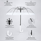 White Big Border Transparent Umbrella for Teens & Adults