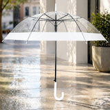 White Big Border Transparent Umbrella for Teens & Adults