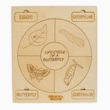 Montessori Life Cycle Puzzles | DIY Colouring Activity (36 Pieces) - Frog, Plant, Chicken & Butterfly