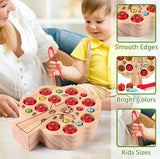 Montessori Wooden Tree Insects Game