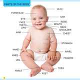 My First Library Words