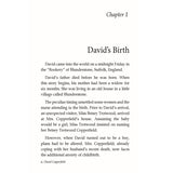 David Copperfield -  Illustrated Abridged Classics for Children with Practice Questions