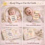 Baby Milestones Flashcards -Pack of 24