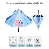 Blue Dino, Unique Mexican Hat Style Kids Umbrella