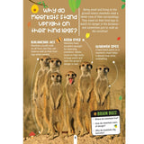 Factopedia Wild Wonders: A Fun Fact Book About Wildlife, Nature & Creatures for Kids Age 6+