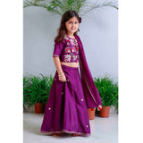 Traditional Pichwai Printed Lehnga Set
