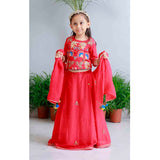 Pink Floral Applique Lehnga Set