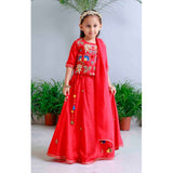 Pink Floral Applique Lehnga Set