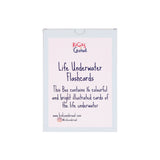 Life Underwater Flashcards