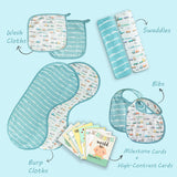 Newborn Essentials Gift Set- Traffic Jam