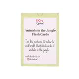 Animals in the Jungle Flashcards