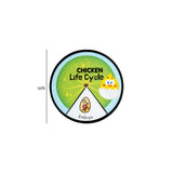 Lifecycle