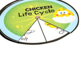 Lifecycle