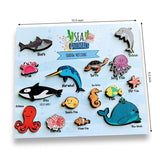 Sea animals shadow matching activity