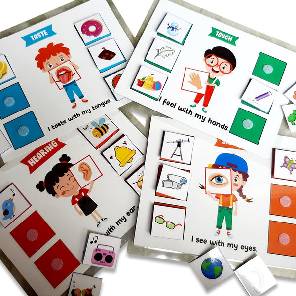 Order Exciting and Wonderful Sorting Activities Set for Kids to Learn ...