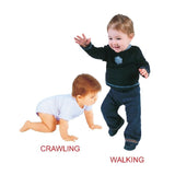 Kiddy Board Book - (10 Titels) Pack