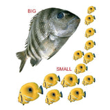 Kiddy Board Book - (10 Titels) Pack