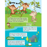 Explore the Jungle Activity Book with Stickers and 3D Models