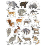 Play With Sticker - Animals