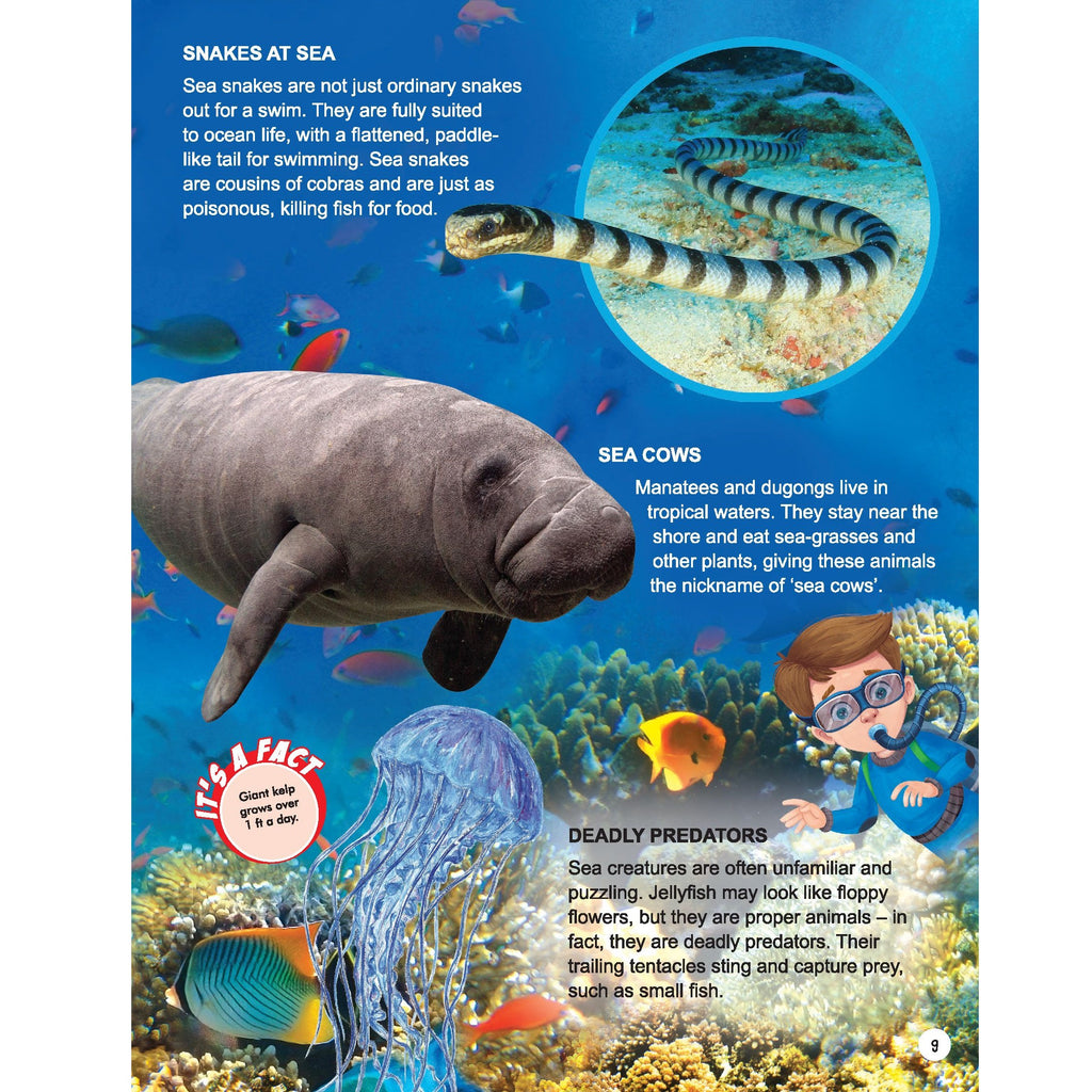 Explore Ocean World Encyclopedia